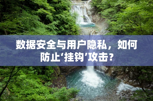 数据安全与用户隐私，如何防止‘挂钩’攻击？