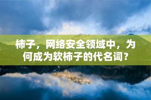 柿子，网络安全领域中，为何成为软柿子的代名词？