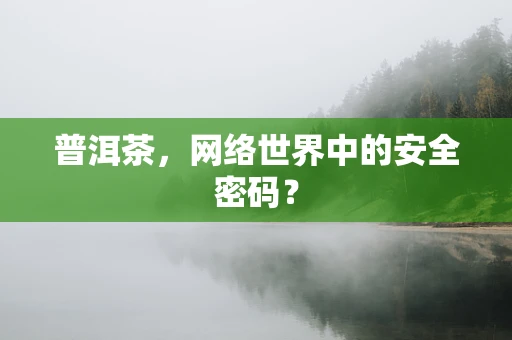 普洱茶，网络世界中的安全密码？
