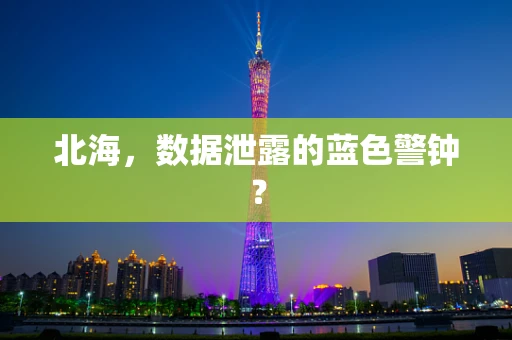 北海，数据泄露的蓝色警钟？