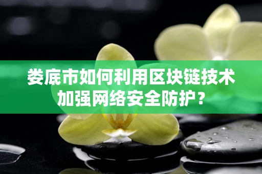 娄底市如何利用区块链技术加强网络安全防护？