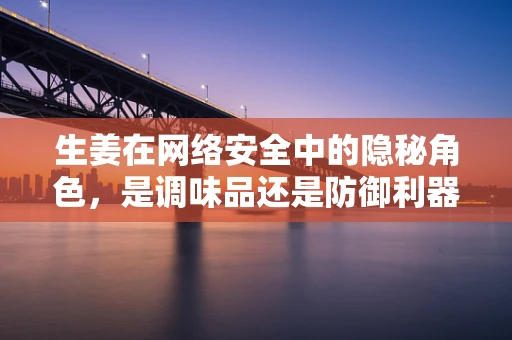 生姜在网络安全中的隐秘角色，是调味品还是防御利器？