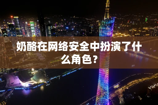 奶酪在网络安全中扮演了什么角色？
