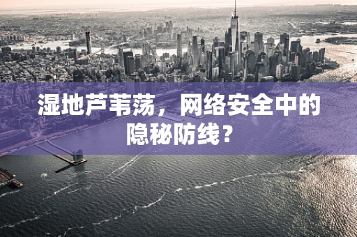 湿地芦苇荡，网络安全中的隐秘防线？
