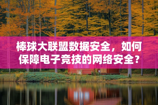 棒球大联盟数据安全，如何保障电子竞技的网络安全？