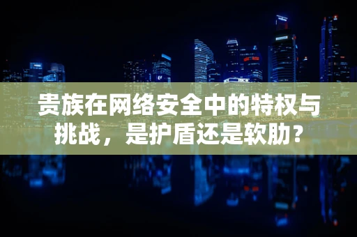 贵族在网络安全中的特权与挑战，是护盾还是软肋？