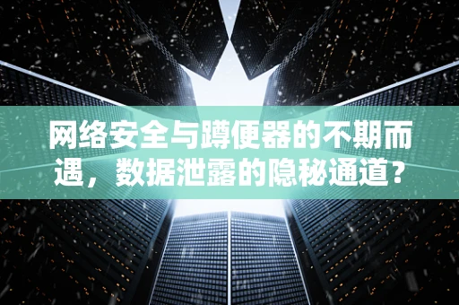 网络安全与蹲便器的不期而遇，数据泄露的隐秘通道？