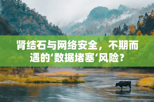 肾结石与网络安全，不期而遇的‘数据堵塞’风险？