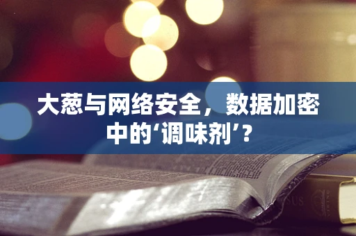 大葱与网络安全，数据加密中的‘调味剂’？
