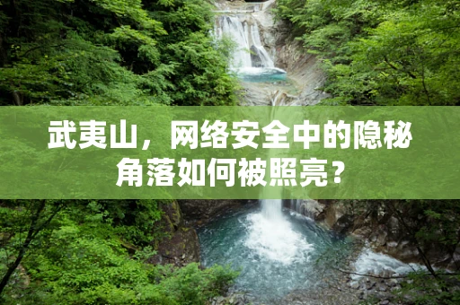 武夷山，网络安全中的隐秘角落如何被照亮？