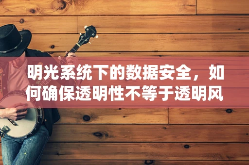 明光系统下的数据安全，如何确保透明性不等于透明风险？