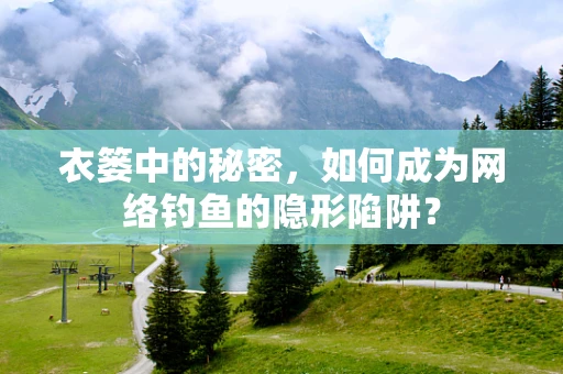 衣篓中的秘密，如何成为网络钓鱼的隐形陷阱？