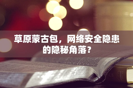草原蒙古包，网络安全隐患的隐秘角落？