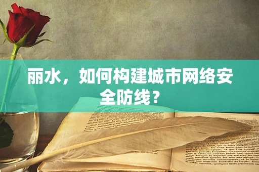 丽水，如何构建城市网络安全防线？