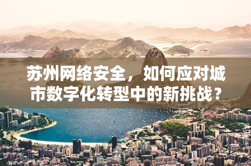 苏州网络安全，如何应对城市数字化转型中的新挑战？