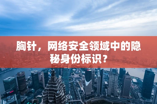 胸针，网络安全领域中的隐秘身份标识？