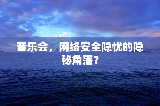 音乐会，网络安全隐忧的隐秘角落？