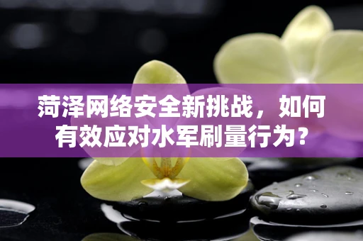 菏泽网络安全新挑战，如何有效应对水军刷量行为？
