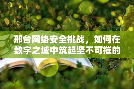 邢台网络安全挑战，如何在数字之城中筑起坚不可摧的防线？