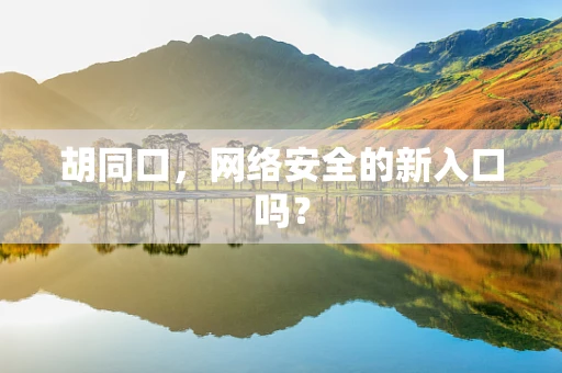 胡同口，网络安全的新入口吗？