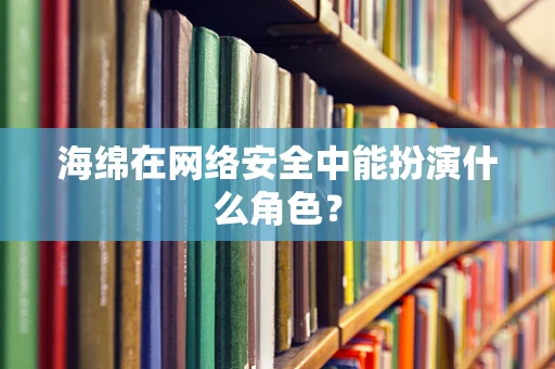 海绵在网络安全中能扮演什么角色？