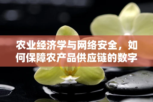 农业经济学与网络安全，如何保障农产品供应链的数字安全？