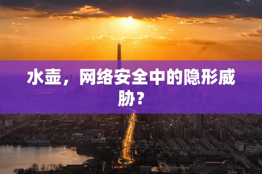水壶，网络安全中的隐形威胁？