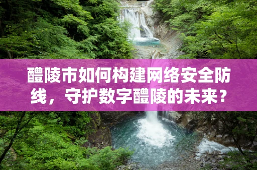 醴陵市如何构建网络安全防线，守护数字醴陵的未来？