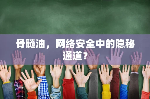 骨髓油，网络安全中的隐秘通道？