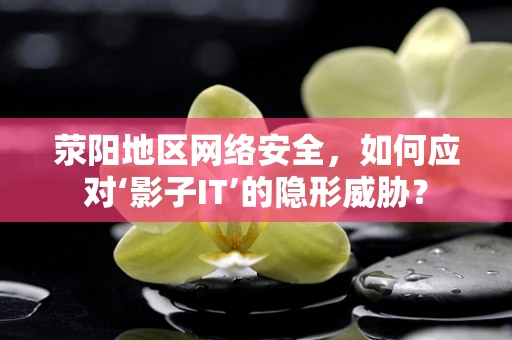 荥阳地区网络安全，如何应对‘影子IT’的隐形威胁？