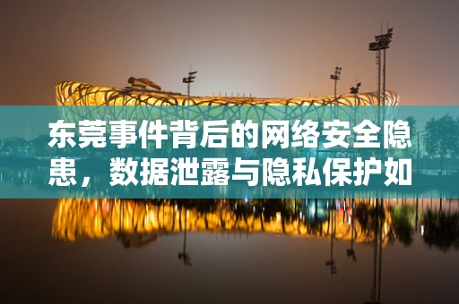 东莞事件背后的网络安全隐患，数据泄露与隐私保护如何平衡？