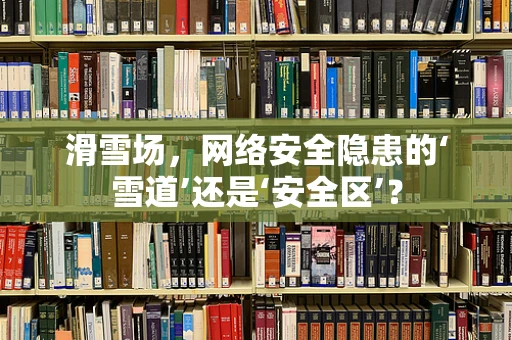 滑雪场，网络安全隐患的‘雪道’还是‘安全区’？