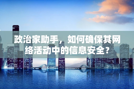 政治家助手，如何确保其网络活动中的信息安全？