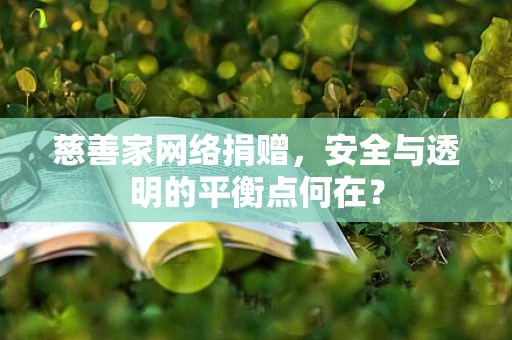 慈善家网络捐赠，安全与透明的平衡点何在？