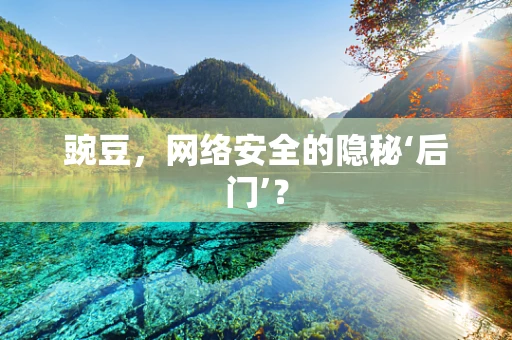 豌豆，网络安全的隐秘‘后门’？