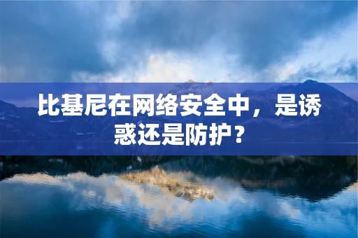 比基尼在网络安全中，是诱惑还是防护？