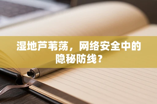 湿地芦苇荡，网络安全中的隐秘防线？