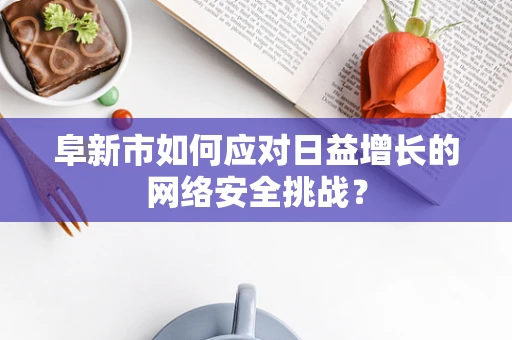 阜新市如何应对日益增长的网络安全挑战？