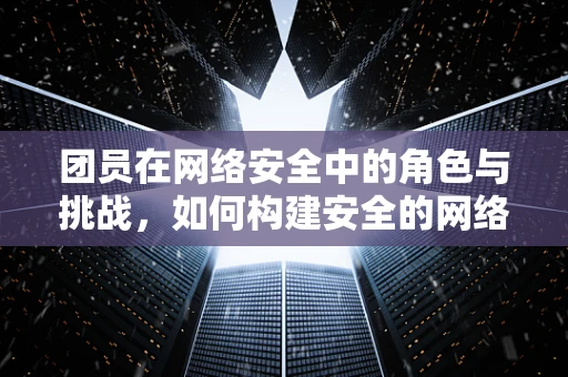 团员在网络安全中的角色与挑战，如何构建安全的网络防线？