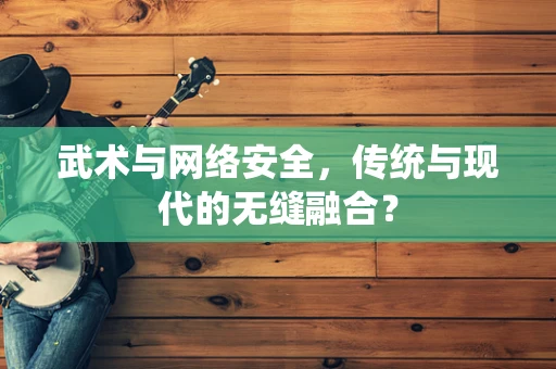 武术与网络安全，传统与现代的无缝融合？