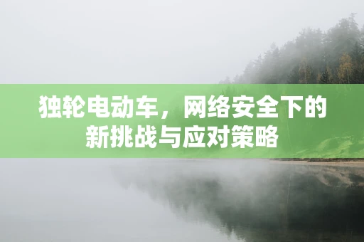 独轮电动车，网络安全下的新挑战与应对策略