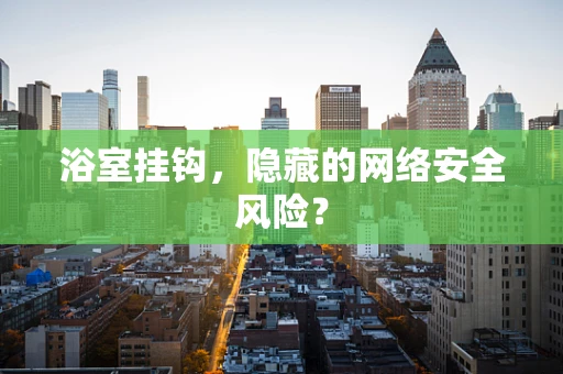 浴室挂钩，隐藏的网络安全风险？