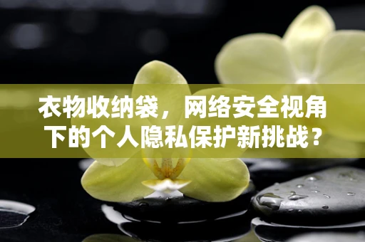 衣物收纳袋，网络安全视角下的个人隐私保护新挑战？