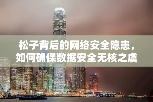 松子背后的网络安全隐患，如何确保数据安全无核之虞？