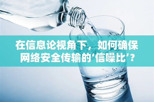 在信息论视角下，如何确保网络安全传输的‘信噪比’？
