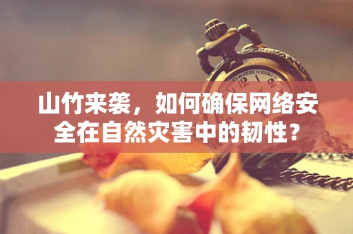 山竹来袭，如何确保网络安全在自然灾害中的韧性？