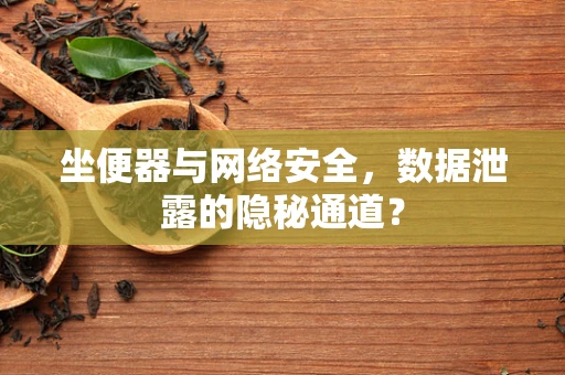 坐便器与网络安全，数据泄露的隐秘通道？
