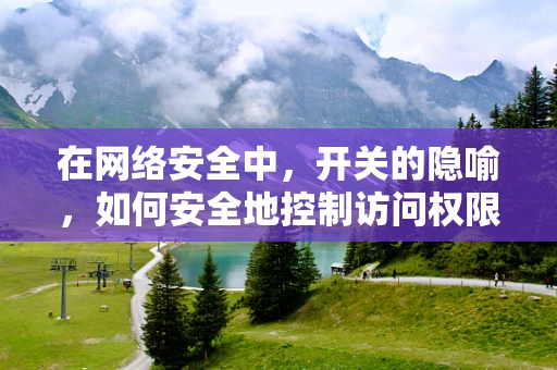 在网络安全中，开关的隐喻，如何安全地控制访问权限？