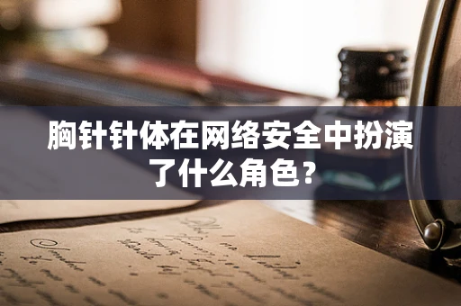 胸针针体在网络安全中扮演了什么角色？