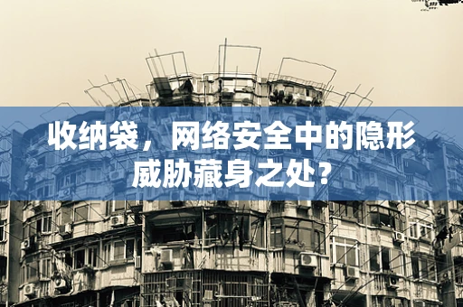 收纳袋，网络安全中的隐形威胁藏身之处？